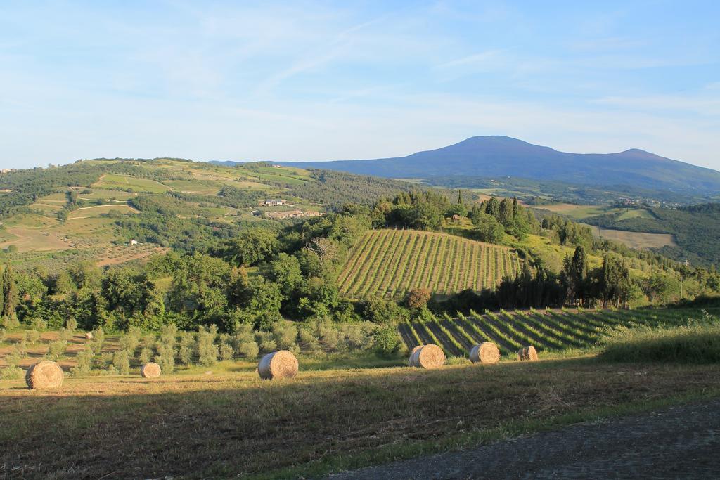 Agriturismo Il Poderuccio Castiglione dʼOrcia Exteriér fotografie